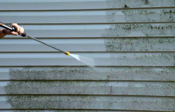 Professional Pressure Washing Services in Lopezville, TX